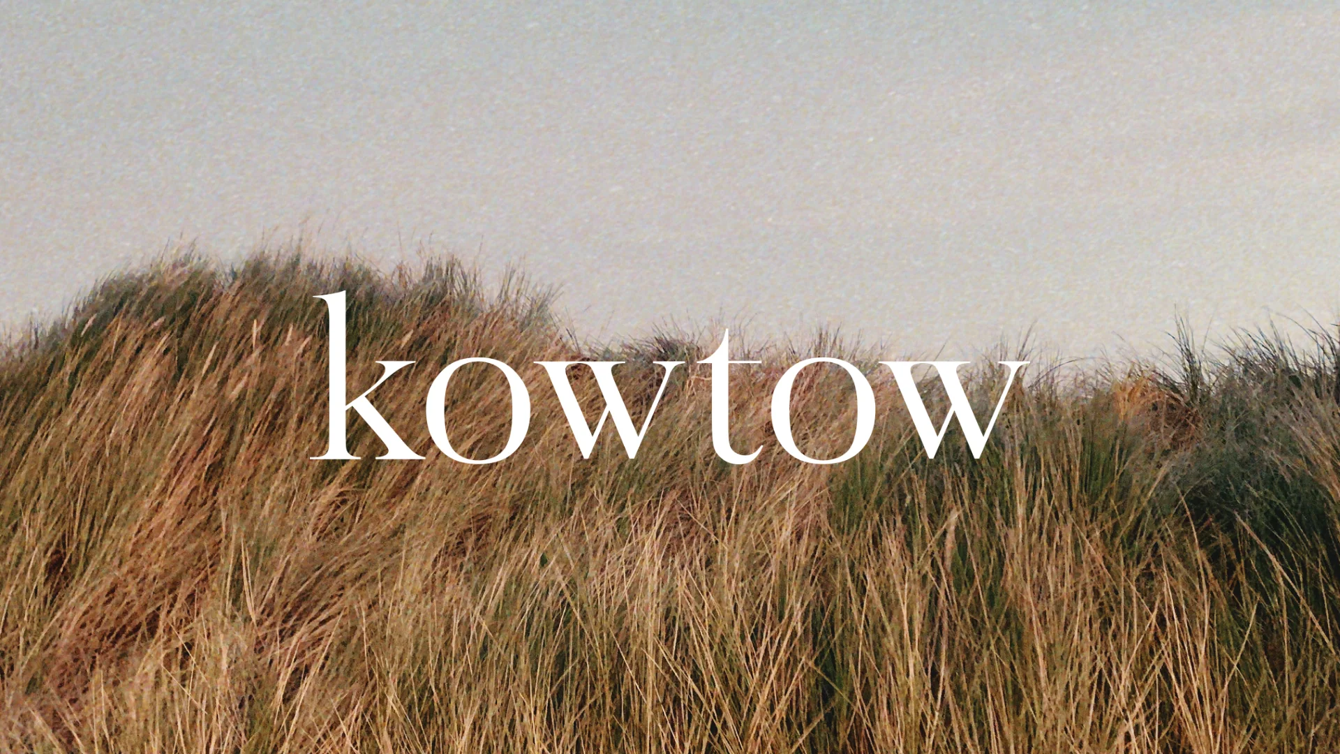 Kowtow